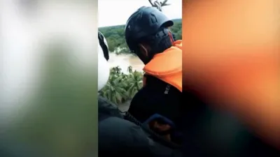 Sri Lankan Man Spends the Night in a Palm Tree to Escape Floodwaters.