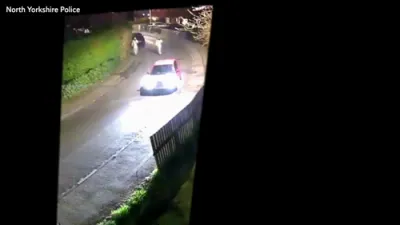 Masked Thugs in Hazmat Suits Chase Victim with Machetes.