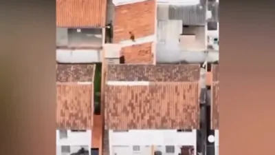 Dog Takes Down Drug Suspect After He Jumps Wrong Fence.