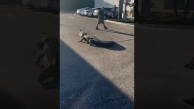 Florida Deputies Capture Massive Gator at 7-Eleven.