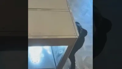 New Footage Exposes Precision Behind $100 Million Louvre Heist.