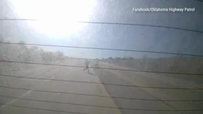 Dashcam Captures SUV Crash Near Oklahoma Trooper.