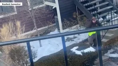 Delivery Driver Chased by Turkeys in Connecticut Suburb 😂