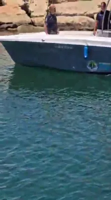 Abandoned Gaza Flotilla Vessel Found Drifting Off Lebanon Coast Sparks Investigation.