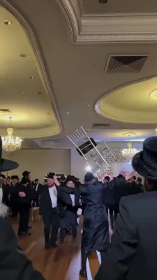 Lively at a Wedding