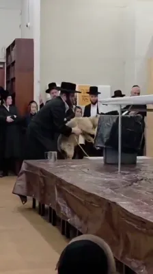 Daf Yomi Yidden Watched a Live Shechita in Boro Park