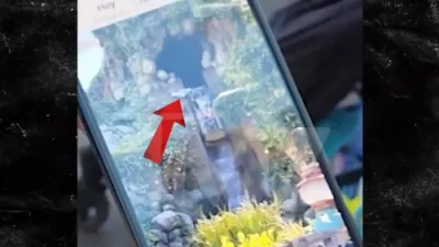 Viral Video Shows Brave Teen Tumbling Down Disneyland's Giant Waterfall in Scary Incident.
