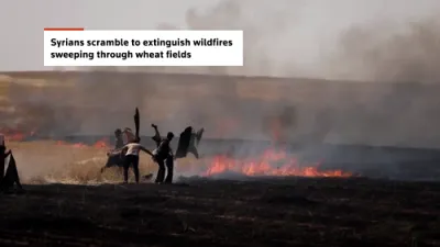 Syria Wildfire Crisis Erupts: Northeast Farmers Risk Everything Using Clothing to Halt Flames Devouring Crops.