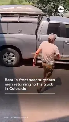 Colorado Man Gets Scare After Black Bear Climbs Into His Toyota Truck