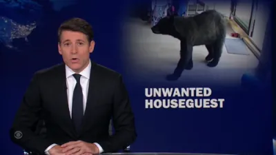 Black Bear Wanders Right Into Whistler Home Looking for Food.