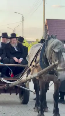 Mayor of Bnei Brak with sons of Gerer Rebbe Shlit"a ride horse in Poland