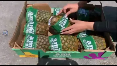 SMUGGLING FOILED: Thousands Of Cigarettes Hidden Inside Pineapples Bound For Gaza Discovered At Kerem Shalom.