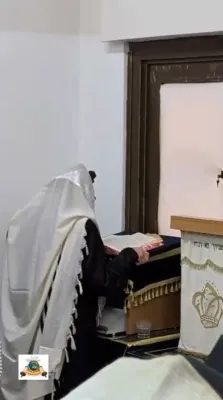 The Sanz Rebbe Shlit"a at Hallel
