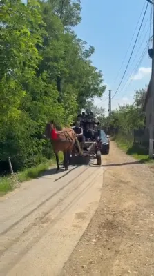 "Shwere Kvitlech" Trip of the Kretshnif Kfar Ata Rebbe Shlit"a