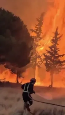 WATCH: Firefighters Fights Wildfire in Spain.