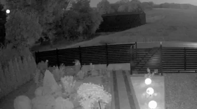FOOTAGE: Russian Missile Invades NATO Airspace and Crashes Deep in Poland.