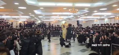 Rav Elimelech and Rav Nachman Biederman Shlit"a bringing joy at a wedding