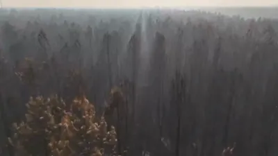 France's Largest Wildfire in Decades Scorches 42,000 Hectares.