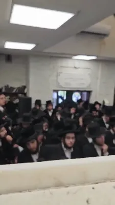 Full videos of the Sigeter Rav Shlit"a in Kerestir