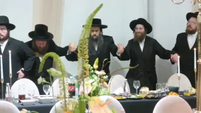 Full videos of the Sigeter Rav Shlit"a in Kerestir