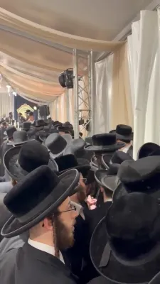 Full videos of the Sigeter Rav Shlit"a in Kerestir