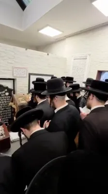 Full videos of the Sigeter Rav Shlit"a in Kerestir
