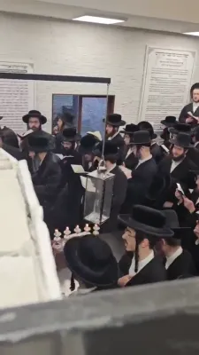 Full videos of the Sigeter Rav Shlit"a in Kerestir
