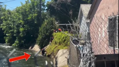 Heartwarming Save: Man and Dog Reunited After Canal Ordeal in Fresno.