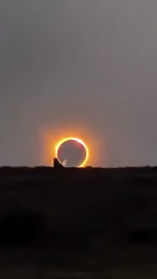 Olympic Skater Pulls Off Lifetime Trick Against Solar Eclipse.