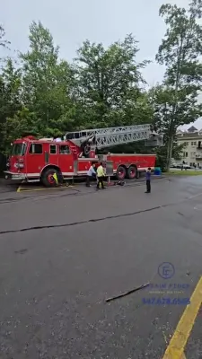 When They Become Fathers, Will They Be Firefighters? Maybe!