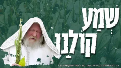 Shema Koleinu | By the Pittsburgher Rebbe, zt"l