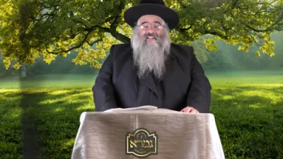 A Short Thought for Rosh Hashanah with Reb Avrohom Mordechai Malach Shlit"a