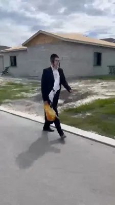 Likras Shabbos Lechu V'nelcha: 🌴Lakefront Updates🌴