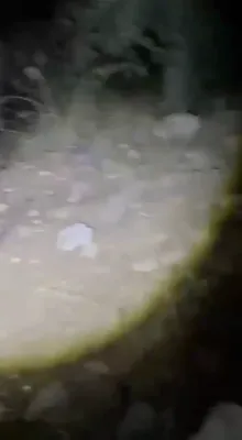 SUSPICIOUS CAVE DISCOVERED: Concealed Underground Site Near Horeshim Investigated; IDF Rules Out Tunnel, Finds No Weapons