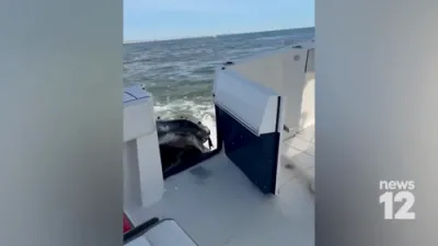 WILD ENCOUNTER: Humpback Whale Approaches Fishing Boat Before Slamming Into Vessel