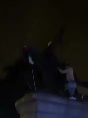 JOAN OF ARC STANDOFF: Man Climbs Statue To Remove Flag And Yellow Vest