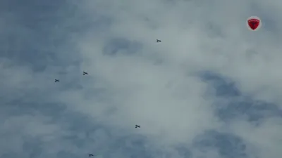 AI ATTACK DEMO: Turkish Mosquito Drones Swarm Targets Without GPS Guidance