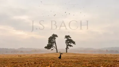 Autumn with Bach - Classical Music | Sonatas, Concertos, Preludes...