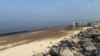 BLACK TIDE HITS GULF: Oil Slick Forces UAE To Close Beaches