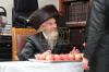כ"ק אדמו"ר מלויצק שליט"א אויף שבת אין לעיקוואוד