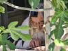 כ"ק אדמו"ר מתו"א שליט"א ביי תפילת שחרית אין די בית הכנסת המקובלים אויפן דאך פונעם ציון הרשב"י 