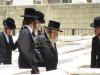 כ"ק אדמו"ר מוויזניץ שליט"א ביים ציון פון זקינו הרה"ק בעל אהבת ישראל מוויזניץ זי"ע ביומא דהילולא קדישא - בילדער א.ו