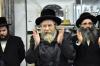 Main image for שמחת האירוסין בבית ראחמסטריווקא -זוועהיל