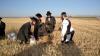 הגה"צ אב"ד סאטמאר וויליאמסבורג שליט"א בקצירת חטים אין איריזאנא בשליחות אביו כ"ק אדמו"ר מסאטמאר שליט"א 