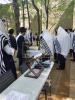 א בליק אין כלל ישראל'ס שול  