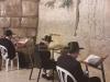 Main image for כ"ק אדמו"ר מוויזניץ שליט"א ביים כותל המערבי 