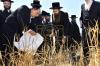 אדמורי"ם ורבנים ביי קצירת חיטים לקראת יו"ט פסח תשפ"א אין די בעקעריי פון טיב המצות 