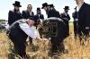 אדמורי"ם ורבנים ביי קצירת חיטים לקראת יו"ט פסח תשפ"א אין די בעקעריי פון טיב המצות 