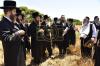 אדמורי"ם ורבנים ביי קצירת חיטים לקראת יו"ט פסח תשפ"א אין די בעקעריי פון טיב המצות 