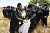 אדמורי"ם ורבנים ביי קצירת חיטים לקראת יו"ט פסח תשפ"א אין די בעקעריי פון טיב המצות 